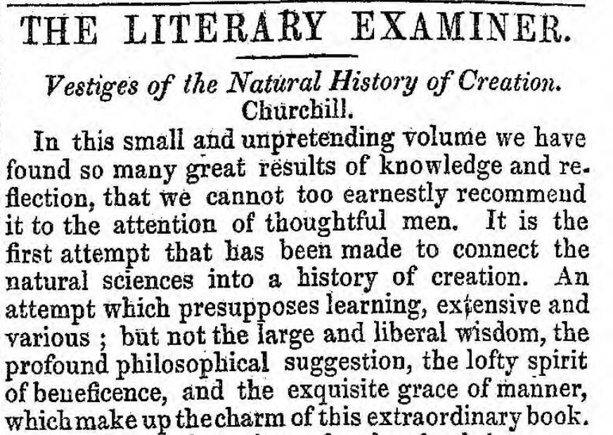 Original Newspaper Clipping